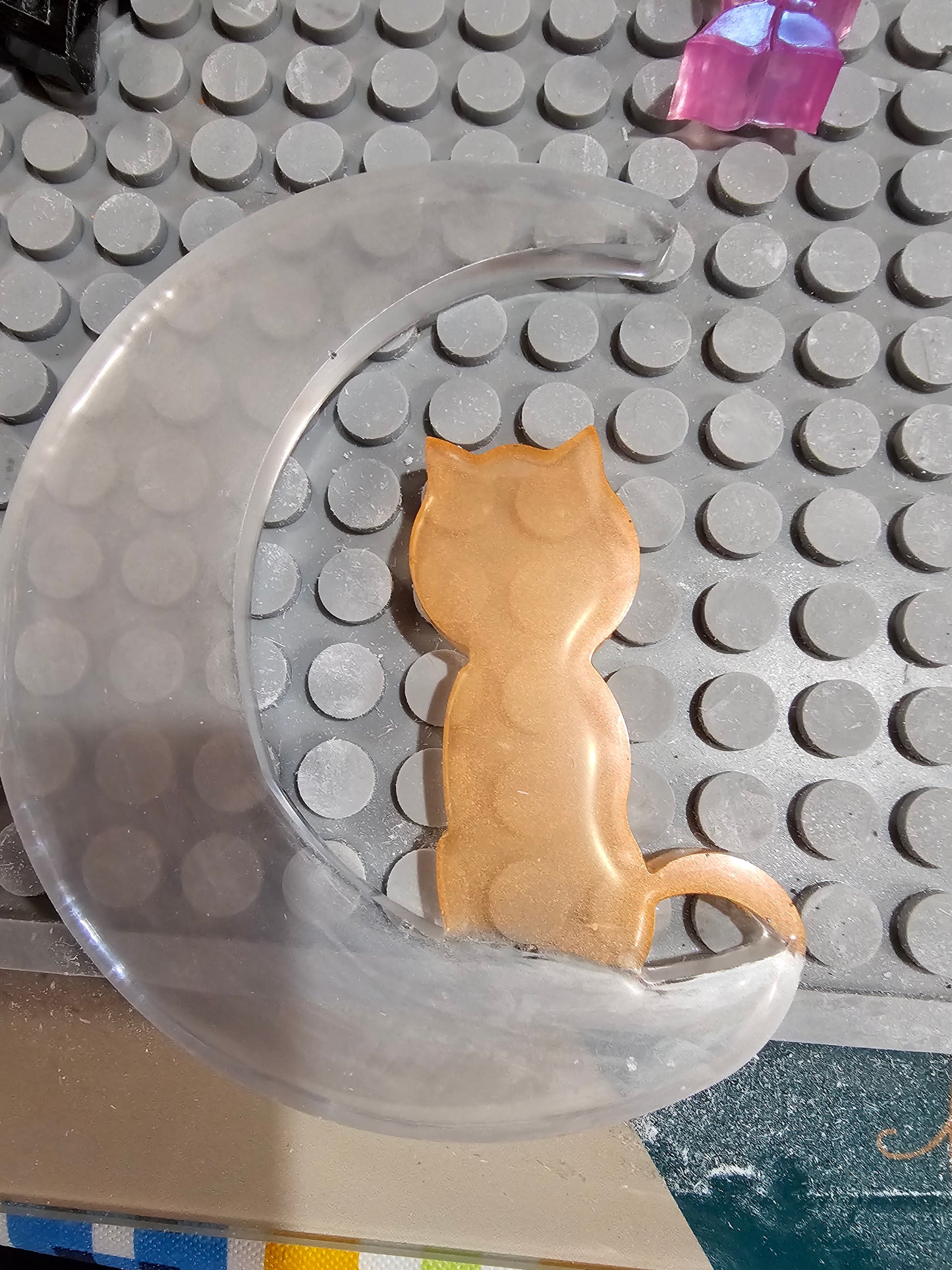 Cat on a moon