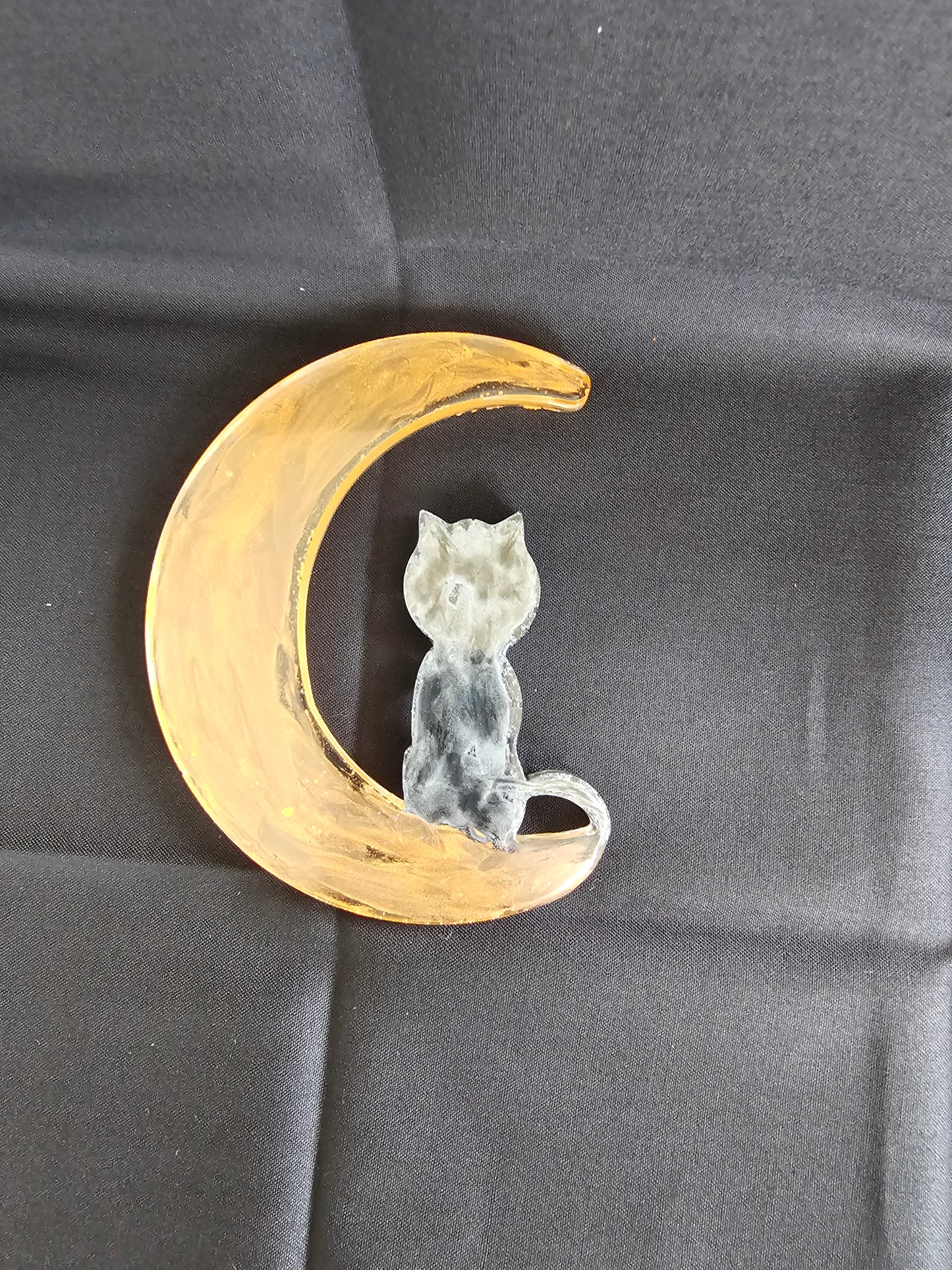 Cat on a moon